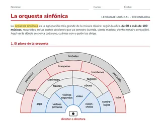 Ficha de la orquesta sinfónica para Secundaria: plano de la orquesta con cuerda, madera, metal, percusión y director